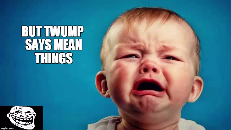 BUT TWUMP SAYS MEAN THINGS | made w/ Imgflip meme maker