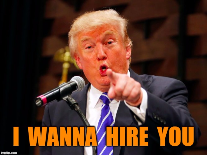 trump point | I  WANNA  HIRE  YOU | image tagged in trump point | made w/ Imgflip meme maker
