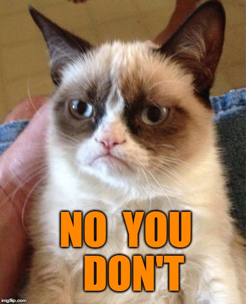 Grumpy Cat Meme | NO  YOU  DON'T | image tagged in memes,grumpy cat | made w/ Imgflip meme maker