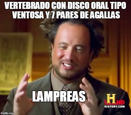 Ancient Aliens Meme | VERTEBRADO CON DISCO ORAL TIPO VENTOSA Y 7 PARES DE AGALLAS; LAMPREAS | image tagged in memes,ancient aliens | made w/ Imgflip meme maker