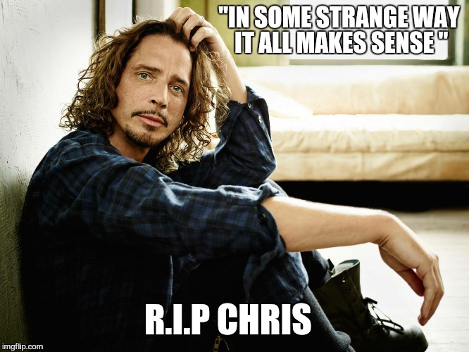 Life is a sound garden |  "IN SOME STRANGE WAY IT ALL MAKES SENSE "; R.I.P CHRIS | image tagged in chris cornell,memes,sound  garden,audio slave | made w/ Imgflip meme maker
