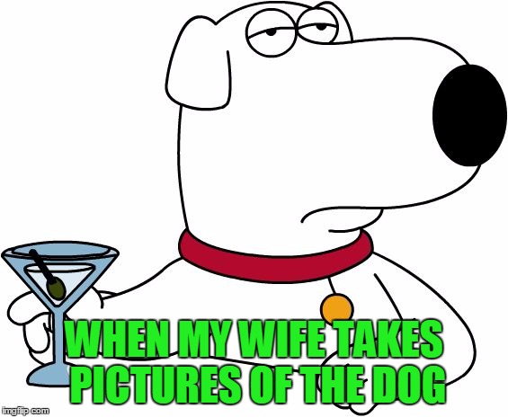 Family Guy Brian | WHEN MY WIFE TAKES PICTURES OF THE DOG | image tagged in family guy brian | made w/ Imgflip meme maker
