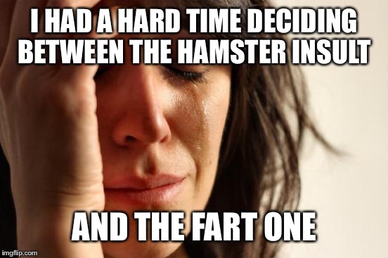 First World Problems Meme | I HAD A HARD TIME DECIDING BETWEEN THE HAMSTER INSULT AND THE FART ONE | image tagged in memes,first world problems | made w/ Imgflip meme maker