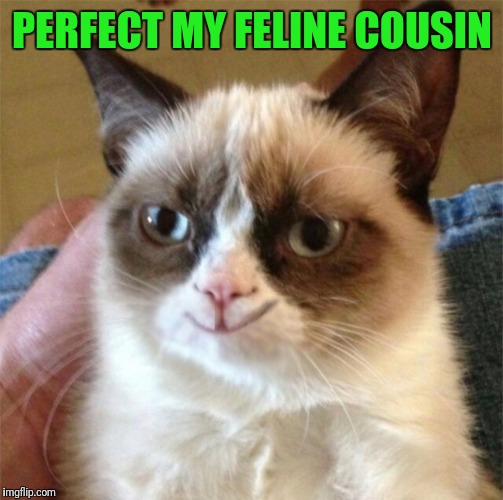 PERFECT MY FELINE COUSIN | made w/ Imgflip meme maker