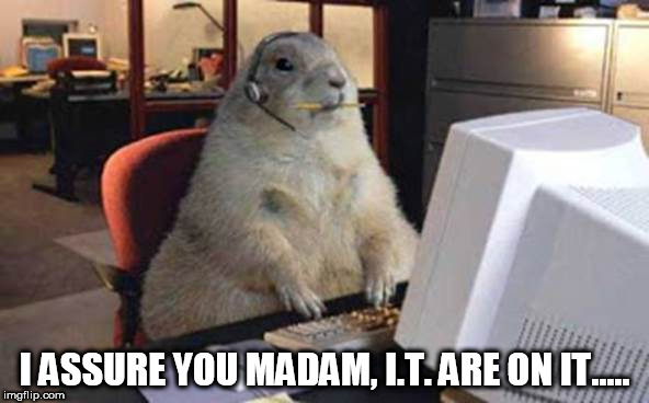 desk bunny | I ASSURE YOU MADAM, I.T. ARE ON IT..... | image tagged in desk bunny | made w/ Imgflip meme maker