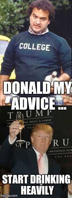 Advice for Trump | DONALD MY ADVICE ... START DRINKING HEAVILY | image tagged in donald trump | made w/ Imgflip meme maker