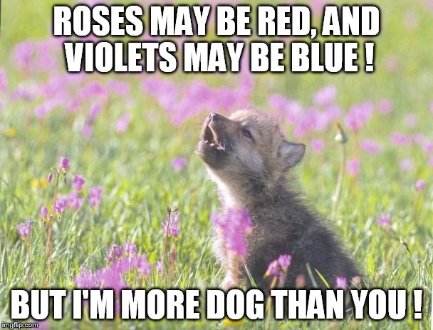 Baby Insanity Wolf Meme | ROSES MAY BE RED, AND VIOLETS MAY BE BLUE ! BUT I'M MORE DOG THAN YOU ! | image tagged in memes,baby insanity wolf | made w/ Imgflip meme maker