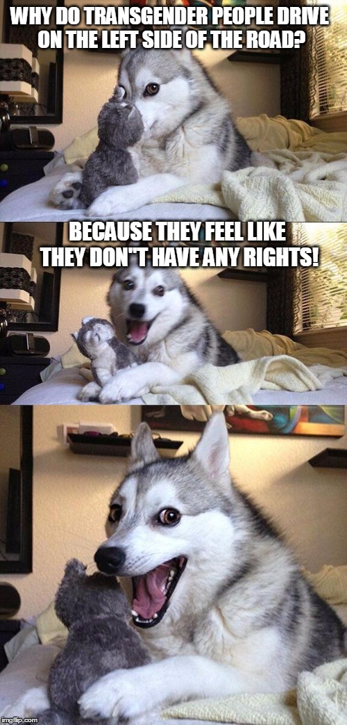 Bwahahaha! | WHY DO TRANSGENDER PEOPLE DRIVE ON THE LEFT SIDE OF THE ROAD? BECAUSE THEY FEEL LIKE THEY DON"T HAVE ANY RIGHTS! | image tagged in memes,bad pun dog | made w/ Imgflip meme maker