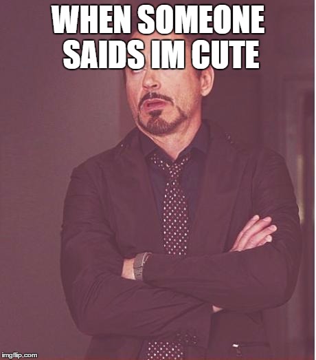 Face You Make Robert Downey Jr Meme | WHEN SOMEONE SAIDS IM CUTE | image tagged in memes,face you make robert downey jr | made w/ Imgflip meme maker