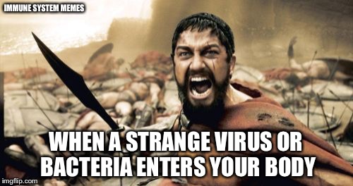 Sparta Leonidas | IMMUNE SYSTEM MEMES; WHEN A STRANGE VIRUS OR BACTERIA ENTERS YOUR BODY | image tagged in memes,sparta leonidas | made w/ Imgflip meme maker