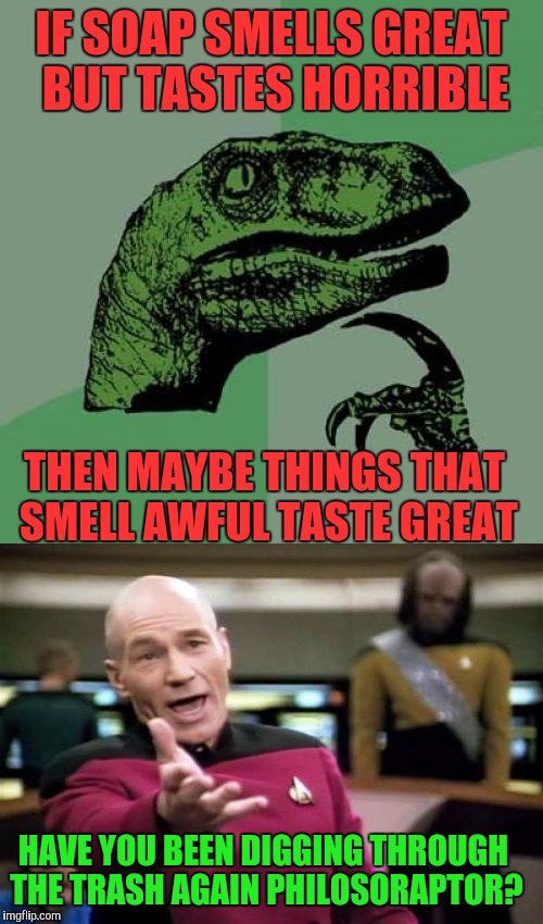 Philosophy week | IF SOAP SMELLS GREAT BUT TASTES HORRIBLE; THEN MAYBE THINGS THAT SMELL AWFUL TASTE GREAT; HAVE YOU BEEN DIGGING THROUGH THE TRASH AGAIN PHILOSORAPTOR? | image tagged in memes,picard wtf,philosoraptor | made w/ Imgflip meme maker