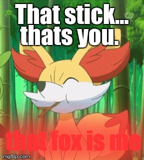 That stick... thats you. that fox is me | image tagged in that stick that's | made w/ Imgflip meme maker