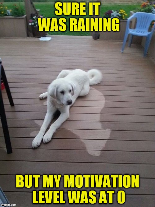 SURE IT WAS RAINING; BUT MY MOTIVATION LEVEL WAS AT 0 | made w/ Imgflip meme maker