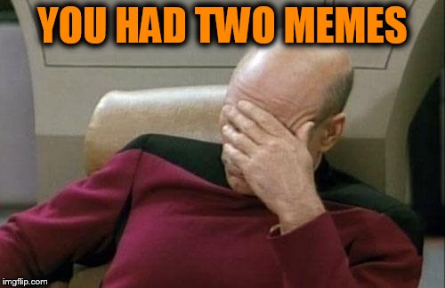 Each day you get to make only two memes | YOU HAD TWO MEMES | image tagged in memes,captain picard facepalm | made w/ Imgflip meme maker