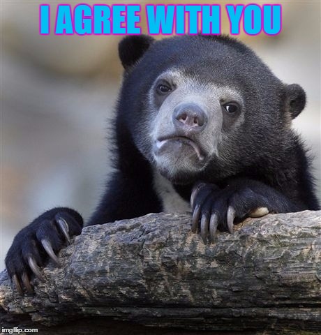 Confession Bear Meme | I AGREE WITH YOU | image tagged in memes,confession bear | made w/ Imgflip meme maker