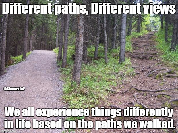 Different paths, different views | Different paths, Different views; @ShooterLoF; We all experience things differently in life based on the paths we walked. | image tagged in path split in forest,life,speed bumps,path,empathy,perception | made w/ Imgflip meme maker