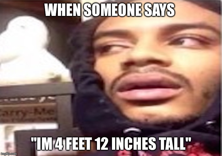Hits blunt | WHEN SOMEONE SAYS; "IM 4 FEET 12 INCHES TALL" | image tagged in hits blunt | made w/ Imgflip meme maker