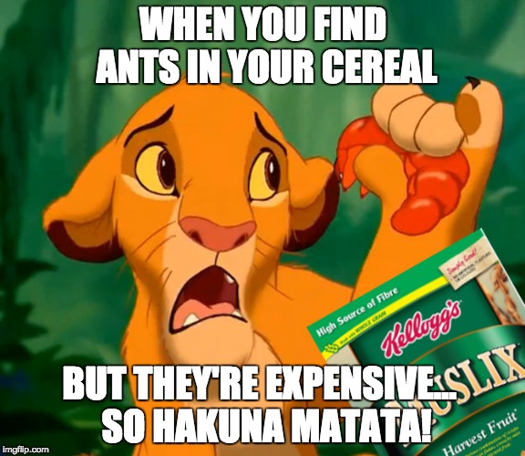 Simba Muslix | WHEN YOU FIND ANTS IN YOUR CEREAL; BUT THEY'RE EXPENSIVE...
 SO HAKUNA MATATA! | image tagged in simba,cereal,hakuna matata | made w/ Imgflip meme maker