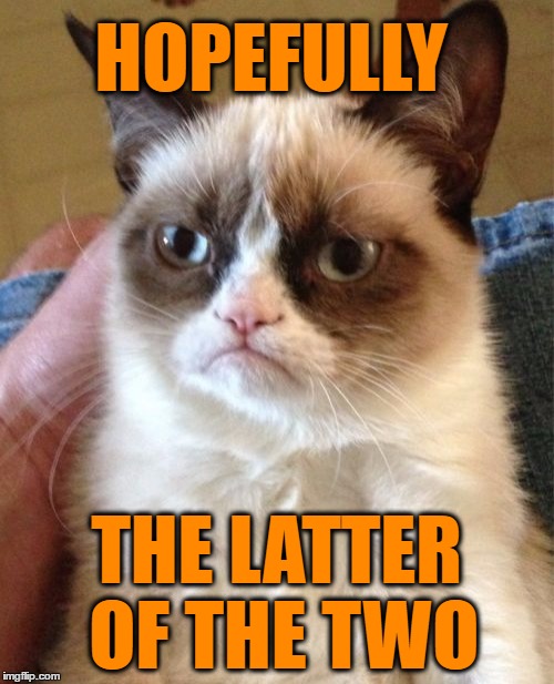 Grumpy Cat Meme | HOPEFULLY THE LATTER OF THE TWO | image tagged in memes,grumpy cat | made w/ Imgflip meme maker