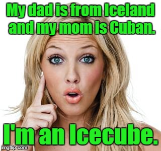 Dumb blonde | My dad is from Iceland and my mom is Cuban. I'm an Icecube. | image tagged in dumb blonde | made w/ Imgflip meme maker