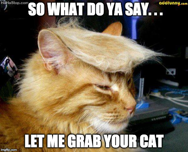 CATS - THE DONALD | SO WHAT DO YA SAY. . . LET ME GRAB YOUR CAT | image tagged in cats - the donald | made w/ Imgflip meme maker