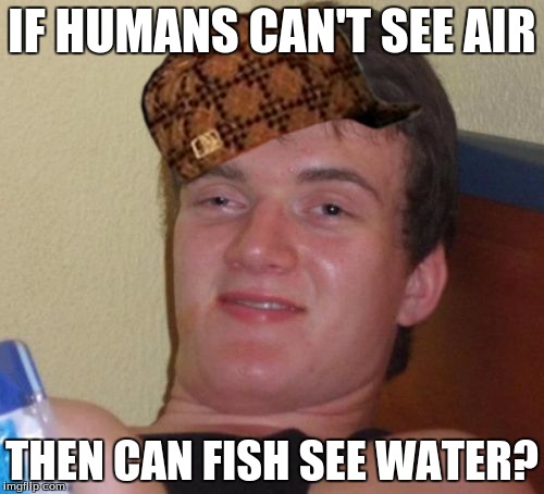 10 Guy Meme | IF HUMANS CAN'T SEE AIR; THEN CAN FISH SEE WATER? | image tagged in memes,10 guy,scumbag | made w/ Imgflip meme maker