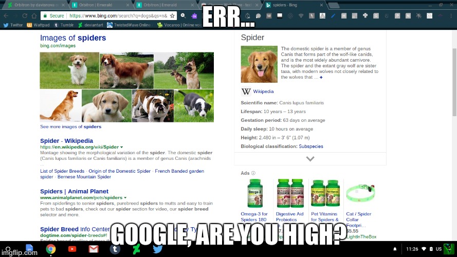 i think google smoked some bad weed | ERR... GOOGLE, ARE YOU HIGH? | image tagged in bing,google | made w/ Imgflip meme maker