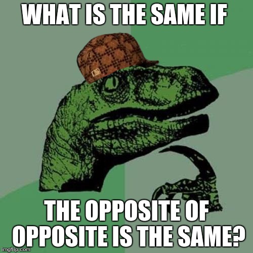 Philosoraptor | WHAT IS THE SAME IF; THE OPPOSITE OF OPPOSITE IS THE SAME? | image tagged in memes,philosoraptor,scumbag | made w/ Imgflip meme maker