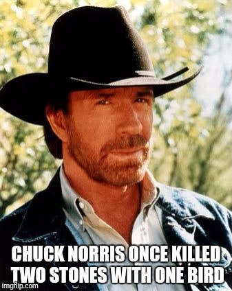 Chuck Norris Meme | CHUCK NORRIS ONCE KILLED TWO STONES WITH ONE BIRD | image tagged in memes,chuck norris | made w/ Imgflip meme maker
