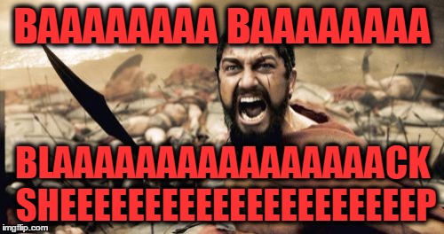 Sparta Leonidas Meme | BAAAAAAAA BAAAAAAAA BLAAAAAAAAAAAAAAAACK SHEEEEEEEEEEEEEEEEEEEEEP | image tagged in memes,sparta leonidas | made w/ Imgflip meme maker