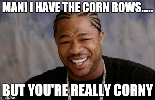 Yo Dawg Heard You Meme | MAN! I HAVE THE CORN ROWS..... BUT YOU'RE REALLY CORNY | image tagged in memes,yo dawg heard you | made w/ Imgflip meme maker