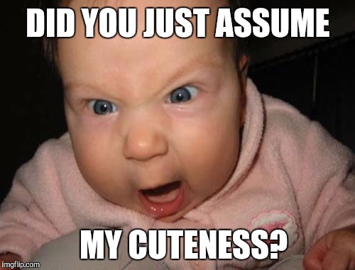 DID YOU JUST ASSUME MY CUTENESS? | made w/ Imgflip meme maker