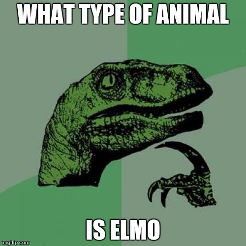 Philosoraptor | WHAT TYPE OF ANIMAL; IS ELMO | image tagged in memes,philosoraptor | made w/ Imgflip meme maker