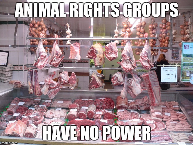 Keep on trying... I can wait another 40 years... | ANIMAL RIGHTS GROUPS; HAVE NO POWER | image tagged in donald trump approves,mcdonalds,animal rights | made w/ Imgflip meme maker