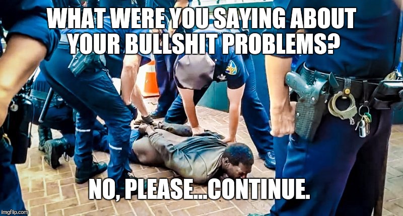 WHAT WERE YOU SAYING ABOUT YOUR BULLSHIT PROBLEMS? NO, PLEASE...CONTINUE. | image tagged in police beat homeless man | made w/ Imgflip meme maker