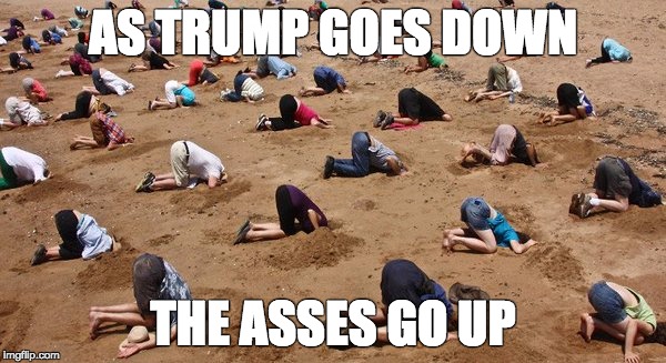 Heads in the Sand | AS TRUMP GOES DOWN; THE ASSES GO UP | image tagged in heads in the sand | made w/ Imgflip meme maker