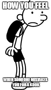 HOW YOU FEEL; WHEN SOMEONE MISTAKES YOU FOR A KOOK | image tagged in greg heffley | made w/ Imgflip meme maker