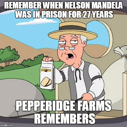 Pepperidge Farm Remembers Meme | REMEMBER WHEN NELSON MANDELA WAS IN PRISON FOR 27 YEARS; PEPPERIDGE FARMS REMEMBERS | image tagged in memes,pepperidge farm remembers | made w/ Imgflip meme maker