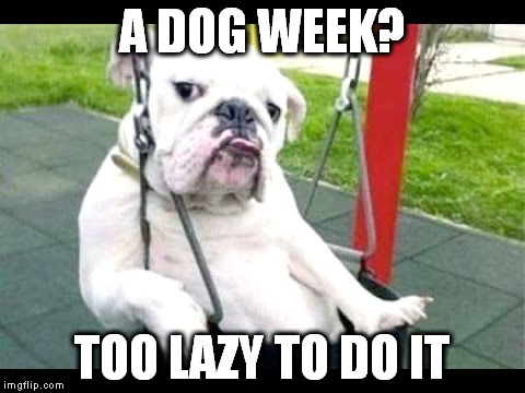 dog week, a Pof.Oak event | A DOG WEEK? TOO LAZY TO DO IT | image tagged in dog funny,dog week | made w/ Imgflip meme maker