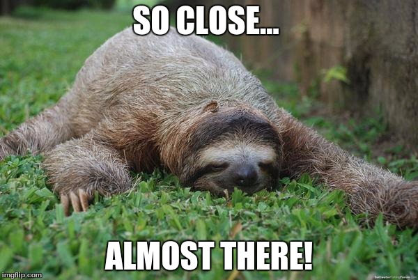 Sleeping sloth | SO CLOSE... ALMOST THERE! | image tagged in sleeping sloth | made w/ Imgflip meme maker