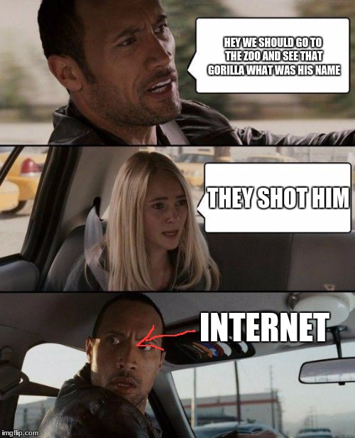 The Rock Driving | HEY WE SHOULD GO TO THE ZOO AND SEE THAT GORILLA WHAT WAS HIS NAME; THEY SHOT HIM; INTERNET | image tagged in memes,the rock driving | made w/ Imgflip meme maker