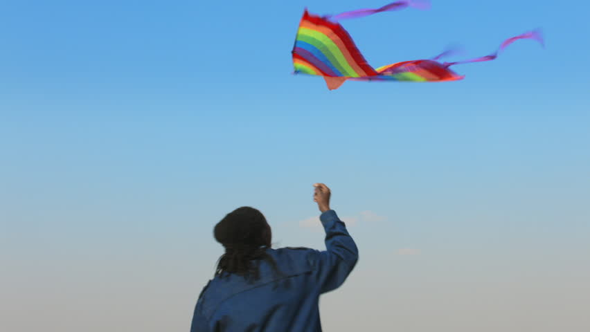 giant kite Blank Meme Template