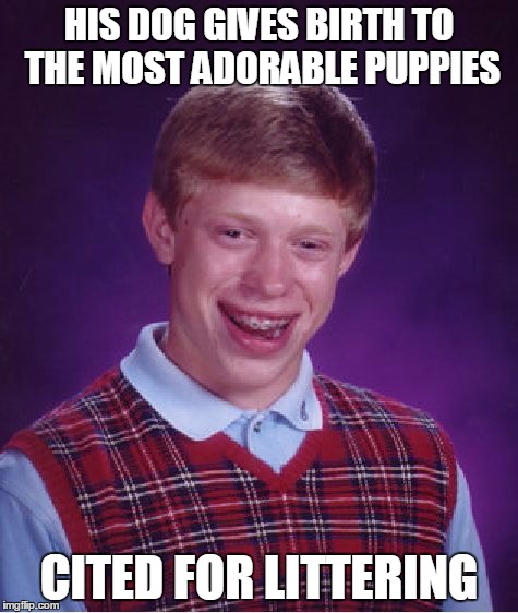 Pug Trafficking Brian | HIS DOG GIVES BIRTH TO THE MOST ADORABLE PUPPIES; CITED FOR LITTERING | image tagged in memes,bad luck brian | made w/ Imgflip meme maker