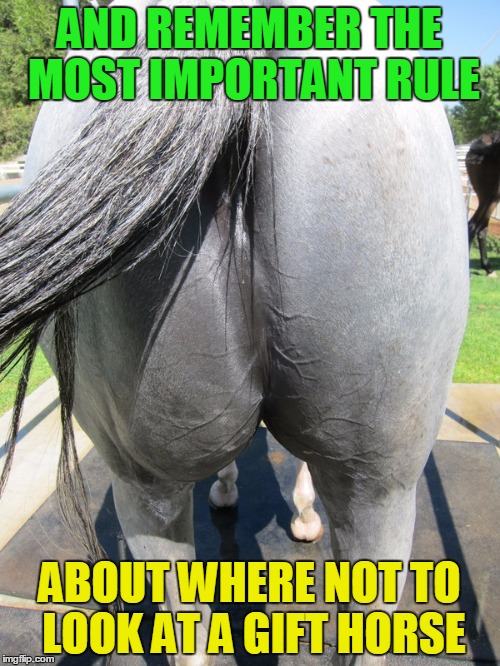 AND REMEMBER THE MOST IMPORTANT RULE ABOUT WHERE NOT TO LOOK AT A GIFT HORSE | made w/ Imgflip meme maker