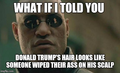 Matrix Morpheus Meme | WHAT IF I TOLD YOU DONALD TRUMP'S HAIR LOOKS LIKE SOMEONE WIPED THEIR ASS ON HIS SCALP | image tagged in memes,matrix morpheus | made w/ Imgflip meme maker