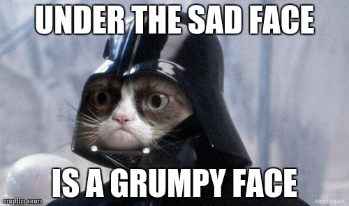 Grumpy Cat Star Wars | UNDER THE SAD FACE; IS A GRUMPY FACE | image tagged in memes,grumpy cat star wars,grumpy cat | made w/ Imgflip meme maker