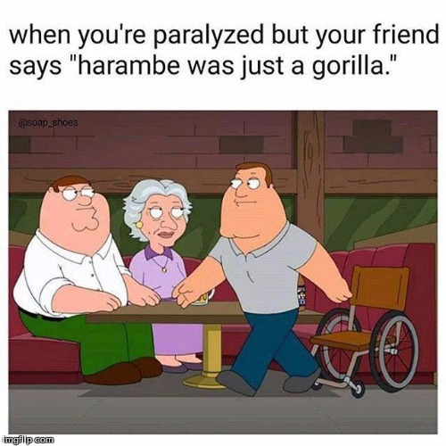Harambe | image tagged in funny | made w/ Imgflip meme maker