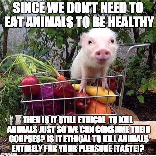 baby pig please do not eat bacon | SINCE WE DON'T NEED TO EAT ANIMALS TO BE HEALTHY; THEN IS IT STILL ETHICAL  TO KILL ANIMALS JUST SO WE CAN CONSUME THEIR CORPSES? IS IT ETHICAL TO KILL ANIMALS ENTIRELY FOR YOUR PLEASURE (TASTE)? | image tagged in baby pig please do not eat bacon | made w/ Imgflip meme maker