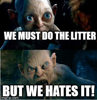 Gollum | WE MUST DO THE LITTER; BUT WE HATES IT! | image tagged in gollum | made w/ Imgflip meme maker