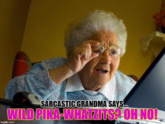 Grandma Finds The Internet Meme | SARCASTIC GRANDMA SAYS... WILD PIKA-WHATZITS? OH NO! | image tagged in memes,grandma finds the internet | made w/ Imgflip meme maker